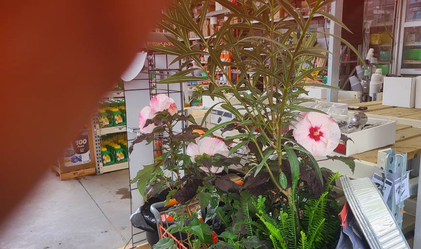 Highly Blessed Cleaning Business