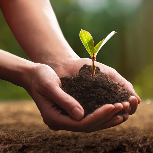 Planting Service