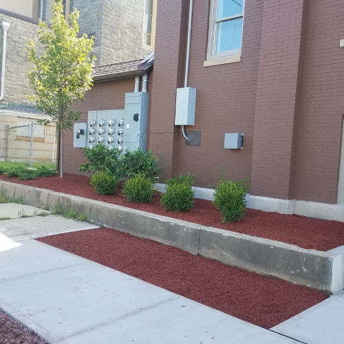Landscape Design