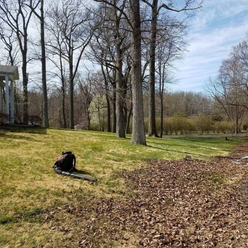 Spring and Fall Cleanup