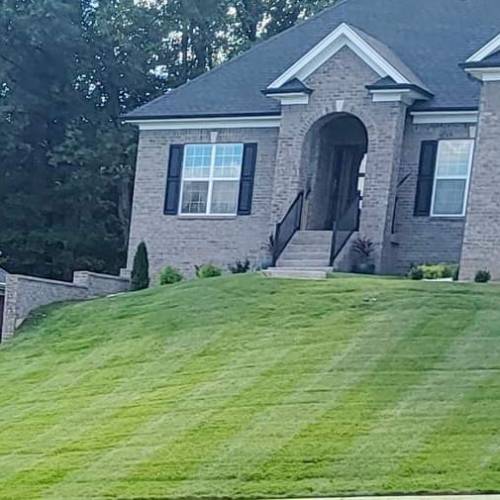 Lawn Mowing