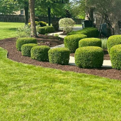 Commercial Landscaping