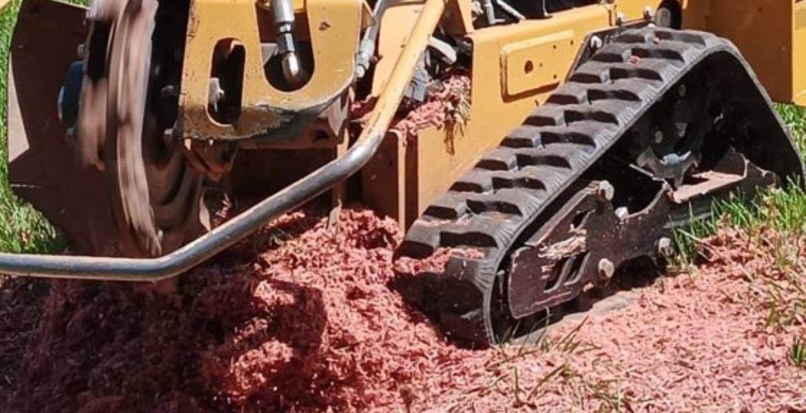 Enmanuel Tree Cutting Service