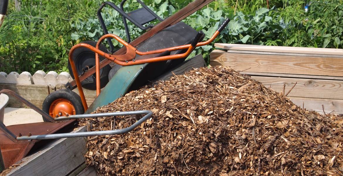 Enmanuel Tree Cutting Service