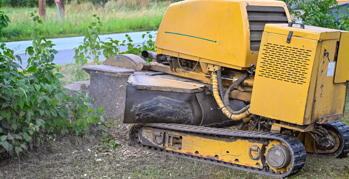 Enmanuel Tree Cutting Service