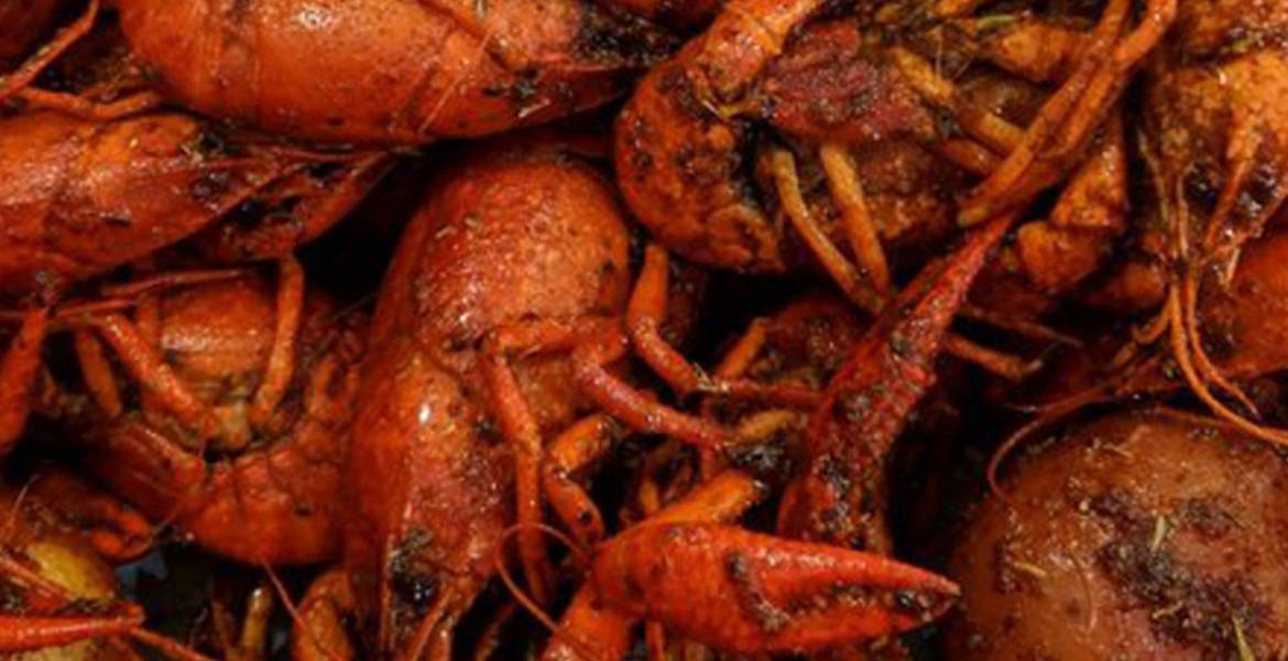 Catfish Parlour South