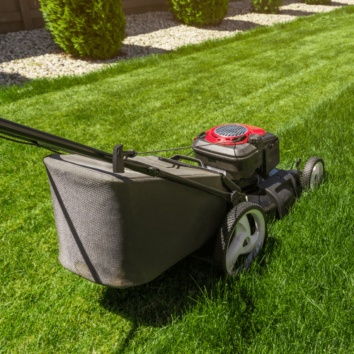 Lawn Care Service