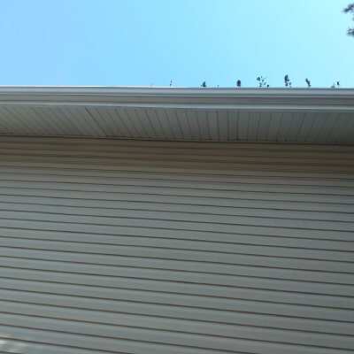 RESIDENTIAL PROPERTY MAINTENANCE