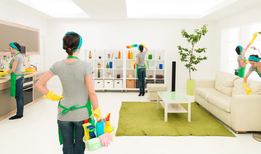 Perfect House Cleaning 