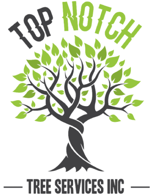 Top Notch Tree Services