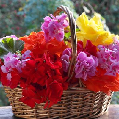 FLOWER DELIVERY
