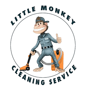 Little Monkey Cleaning Services