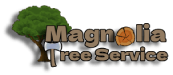  Magnolia Tree Service