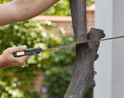 TREE TRIMMING