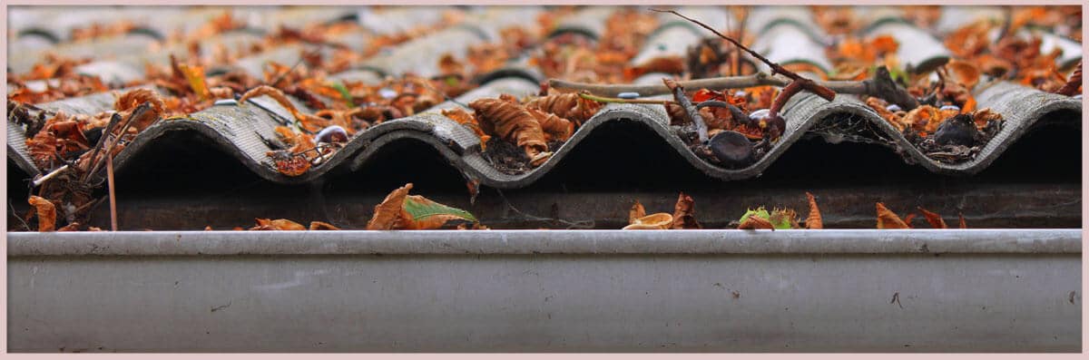 Gutter Cleaning