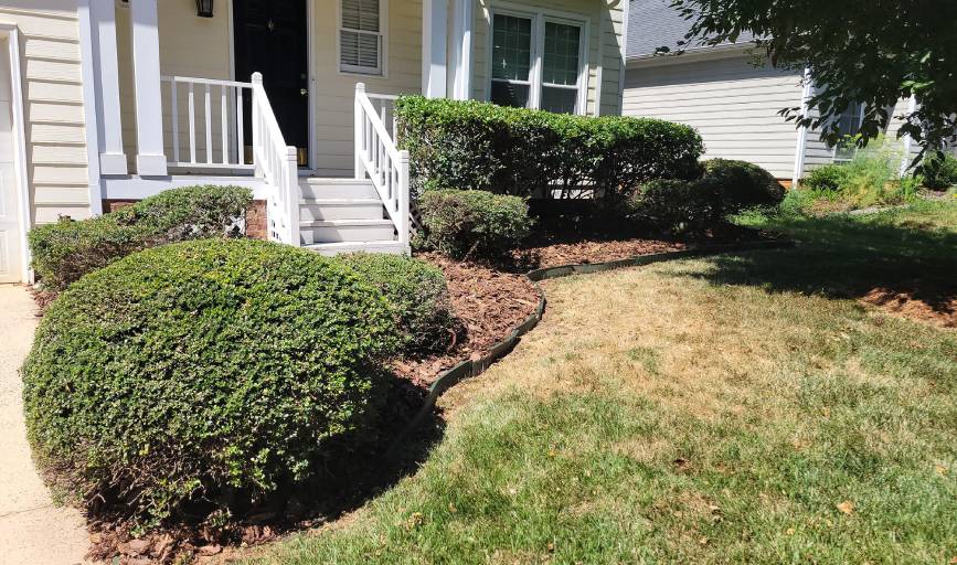 Cornerstone Creation Lawns and More