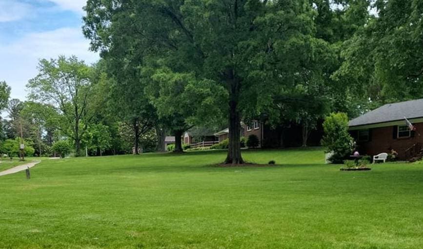 Cornerstone Creation Lawns and More