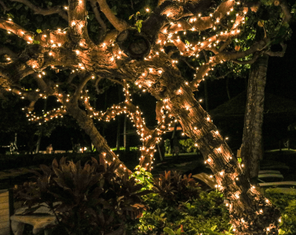 CHRISTMAS LIGHT INSTALLATIONS