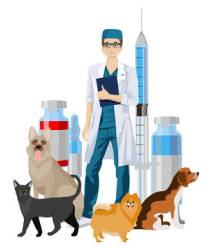 Van Nuys Veterinary Clinic