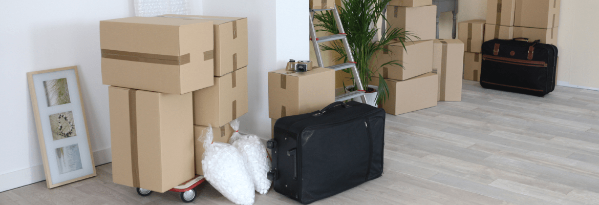 Done Rite Cleaning LLC 