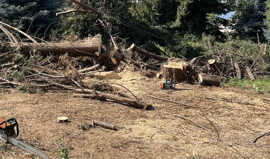 Altitude Tree Service