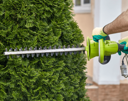 SHRUB HEDGING SERVICES