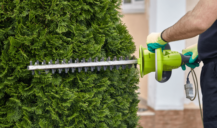 Altitude Tree Service