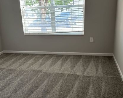 CARPET CLEANING