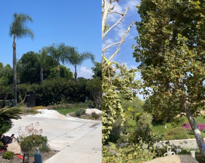 LANDSCAPING SERVICES