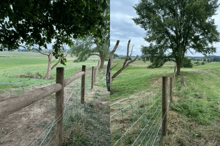 Taylor's Family Fencing