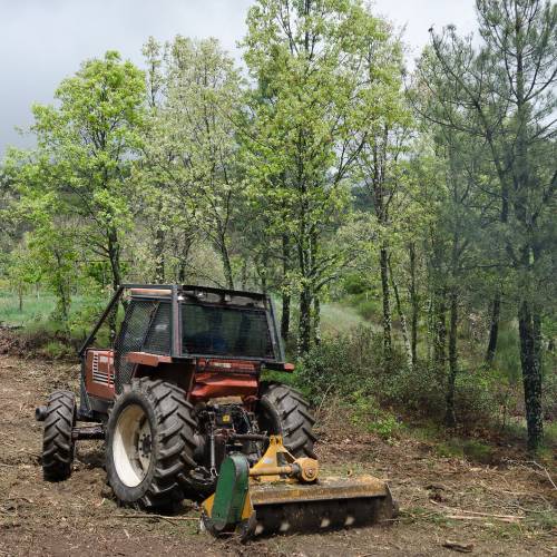 Land Clearing