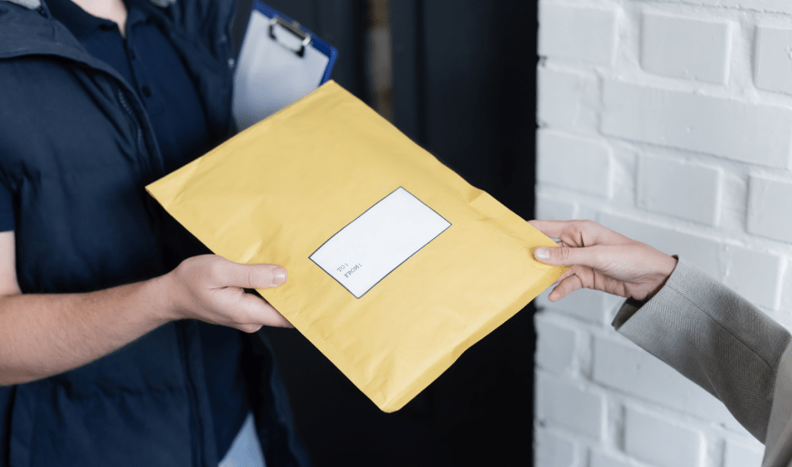 Sentinel Delivery Courier Service