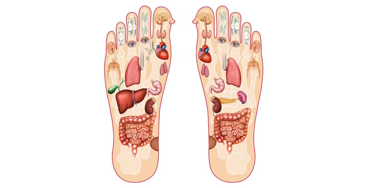 Relaxation Station on Walden