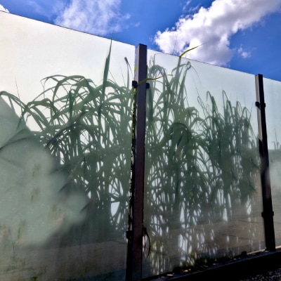 GLASS PRIVACY BARRIER