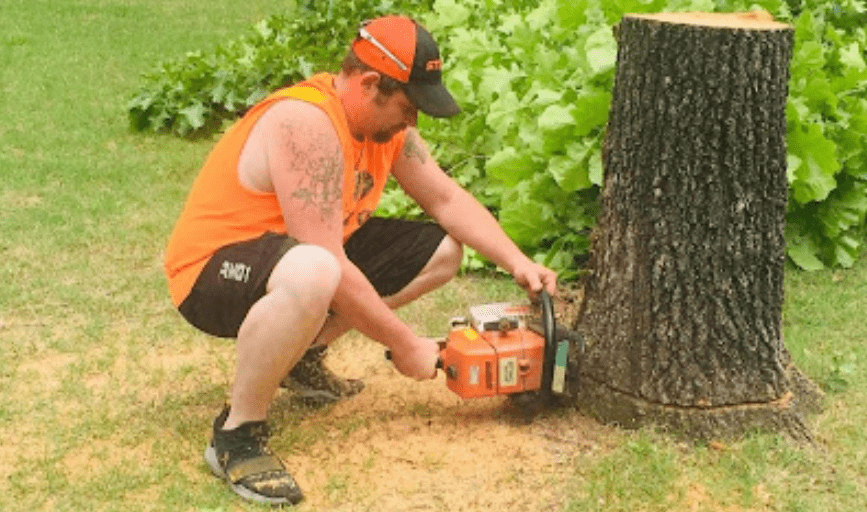 Razorback Tree Service