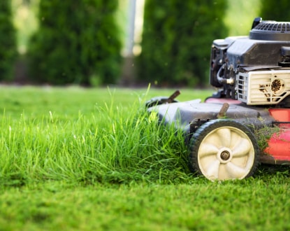 LANDSCAPE MAINTENANCE