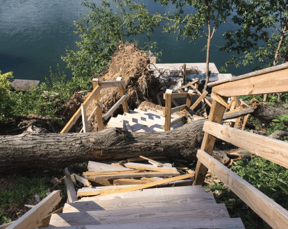 EMERGENCY TREE REMOVAL