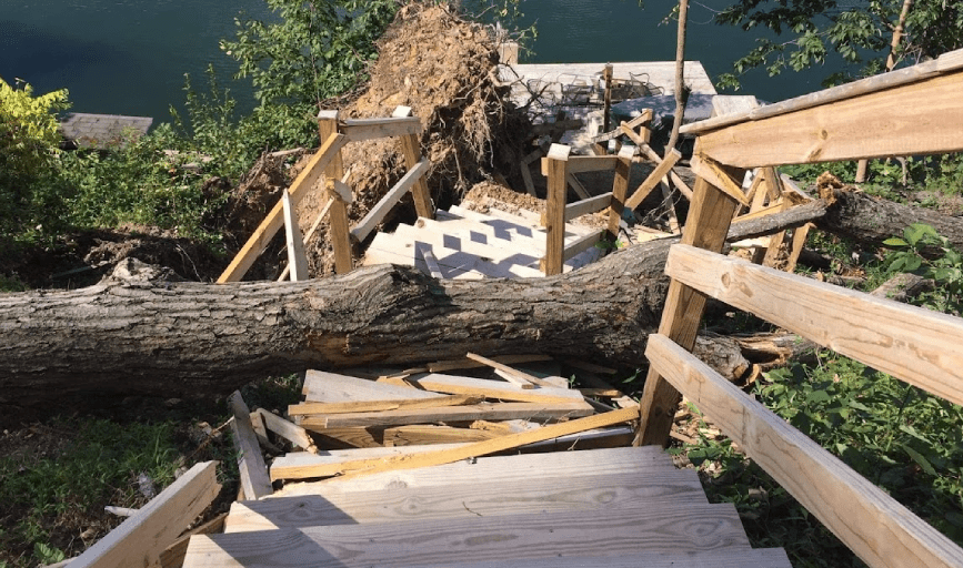 Razorback Tree Service