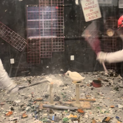 SMASH ROOM