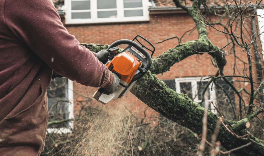 Bigs Tree Removal & Landscaping