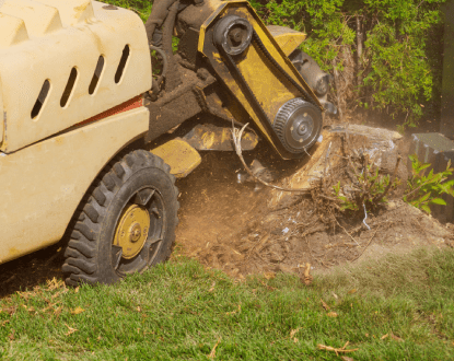 STUMP GRINDING