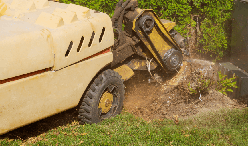 Bigs Tree Removal & Landscaping