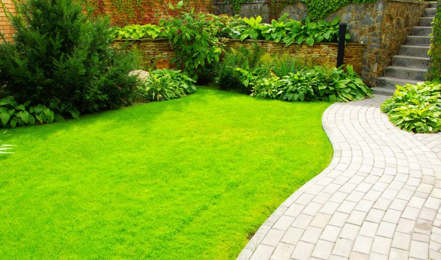 CEO Landscape & Hardscape Design and Build