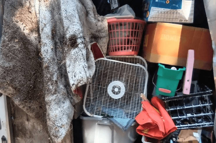 Runner Boys Services LLC