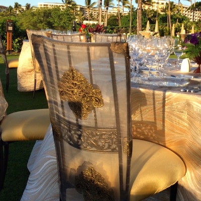 CHAMELEON CHAIR RENTAL