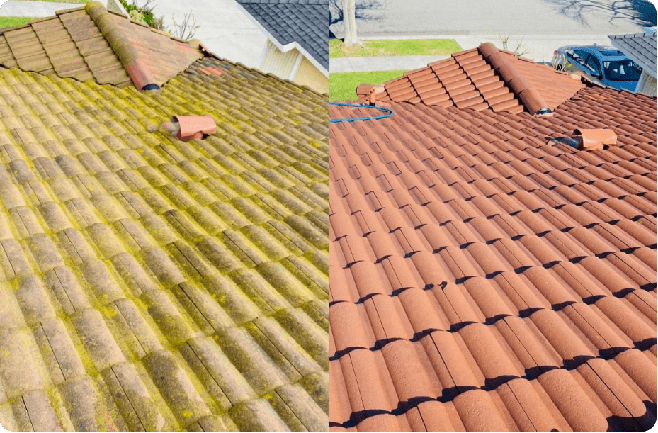Roof Cleaning