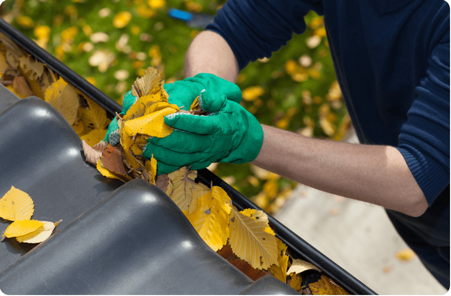 Gutter Cleaning