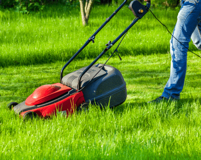 LAWN CARE