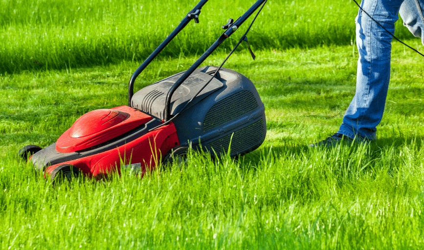 Orpa Homes Commercial Lawns Care & Maintenance