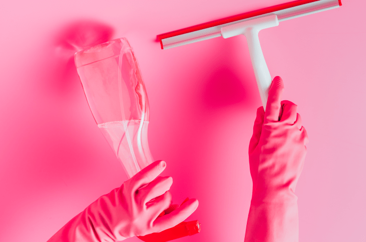 Pink Ladies Cleaning Services and Janitorial